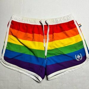 Limited Edition ANDREW CHRISTIAN Rainbow Pride Stripe Lined Swim Shorts Size: M